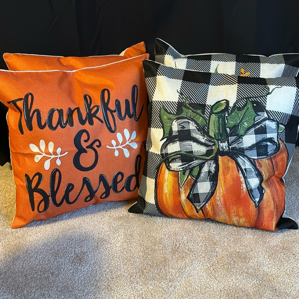 Pillows, Thankful & Blessed Fall Design, SET of Two, Pillows included, 🎁